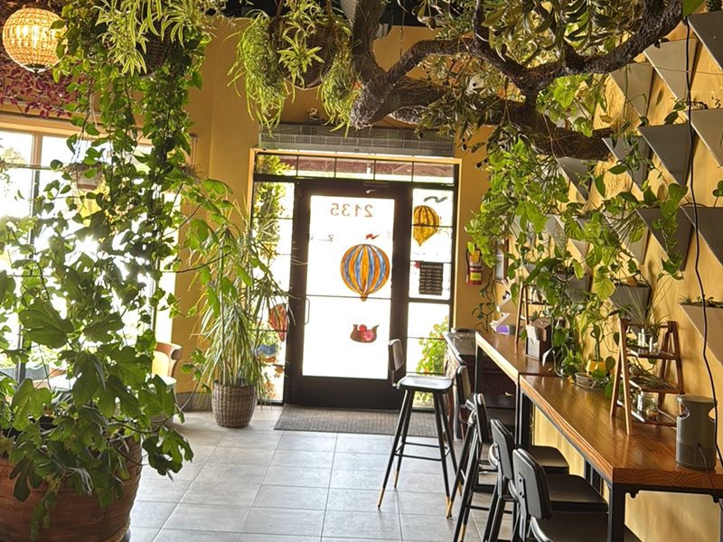 Roots Juice and Coffee Bar interior