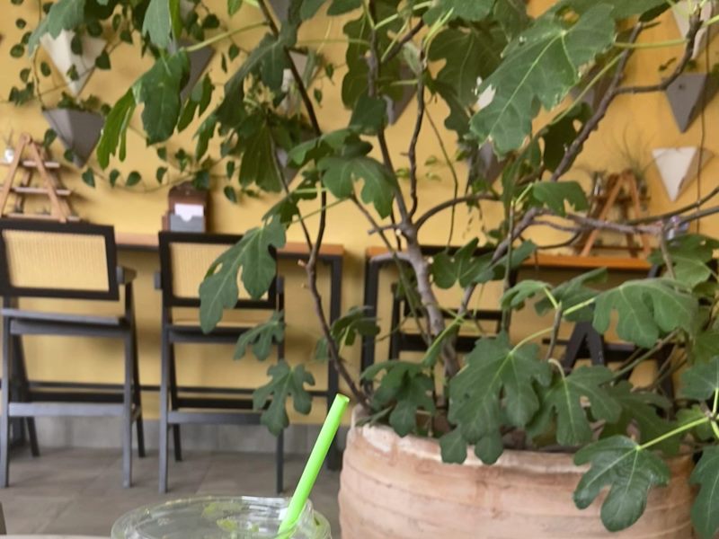 Roots Juice and Coffee Bar food